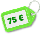 Precio del curso 75 euros